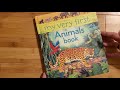 Our 3 favorite Usborne Book Series for Preschool