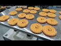 Chakli Making Machine | Money Making Business Ideas