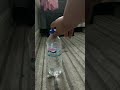 Bottle flip video with my brother