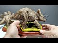 UNBOXING some INCREDIBLE vintage Dinosaur models!