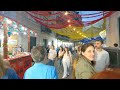 🔴Lisbon's St. Anthony's Festival 2024 | Alfama | Portugal