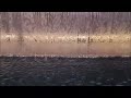 Relaxing video of Water Fountain