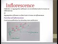 #inflorescence   Inflorescence and it's types lecture #1