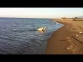 Nanook & Ice swimming together