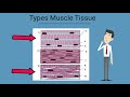 Types of Human Body Tissue