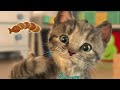 SPECIAL LITTLE KITTEN ADVENTURE - CARTOON SPECIAL JOURNEY OF CUTE GREEN KITTEN AND ANIMALS