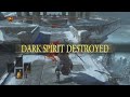 DARK SOULS III_get owned!