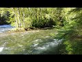 1 Minute postcard, McKenzie River Oregon,