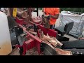 Processing Oak Firewood