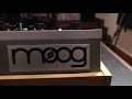 Moog One review by Mark Jenkins