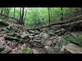 쓰러진 고사목, 이끼바위, 녹색숲, 맑은 물, Fallen dead trees, mossy rocks, green forests, clear water, natural music