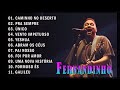 Fernandinho ALBUM COMPLETO - AS 20+ MELHORES E MAIS TOCADAS - Top Coleção De Belos Hinos