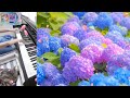 「RAIN」SEKAI NO OWARI  coverメアリと魔女の花 主題歌  下手でごめんなさい。弾いてみました。m(_ _)m