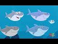 Fun Finny The Shark Songs | Kids Music | Sing Along With Finny!