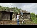 Cleaning the HOUSE is MORE than 100 YEARS old, Overgrown wild Trees cover the whole house | CLEAN UP