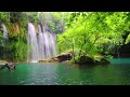 Deep Healing Music, Healing Your Nervous System, Instant Relief from Stress and Anxiety, Calm Nature