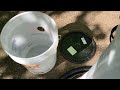 ❹ Easy to make DIY Bee Vacuum using a Bucket Head and 5 gallon buckets!