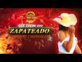 ZAPATEADO MIX🤠  \ GUERRERO\MICHOACAN