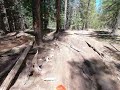 Colorado Dirtbike Single Track at Taylor Park Reservoir Lilly Pond Trail