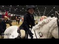 London International Horse Show 2023 🤩🐴 Team DC Ponies 🐴 | Showjumping Vlog