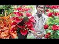 How to make artificial flower and artificial plant | DIY Flower | DIY Plant
