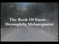 The Book Of Knots - Drosophila Melanogaster