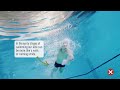 Swimming Technique | Fundamentals of Propulsion and Drag | Key phases of your Swim Stroke | How to