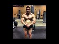 Natural Bodybuilding Transformation Video: From Fat to Fit