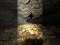 Belly Crawling in a cave!