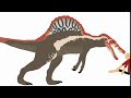 spinosaurus attack (dinosaur animation)