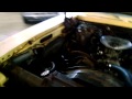 Warm Idle '77 Buick Skylark