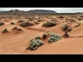 DJI Mini 4 Pro Dunes Dirt Bike Follow