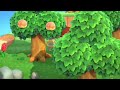 30 days of Animal Crossing / day 13 / Villager Hunting