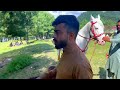 Shogran | Aerial View | Siri Paya Meadows | Kawai To Shogran | Naran Kaghan | Shogran Road Condition