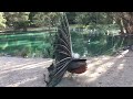 Peacock Display Part 3