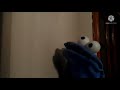 C is for cookie (Cookie monster puppet)