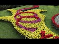 Keukenhof 2024 - Another sunny day, Visit the garden at the end of March - 4K