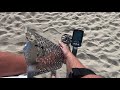 Beach Metal Detecting Huntington Beach California.
