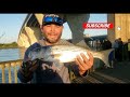 #shorts CATCH AND RELEASE STRIPERS AT KENT NARROWS MD
