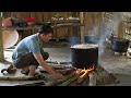 Harvesting and drying giant bamboo shoots for food. Robert | Green forest life