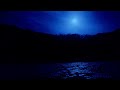 【自然の音】スイレン池の夜（カエルの鳴き声） / Nature Sounds - Night at the Water Lily Pond (Chorus of Frogs)