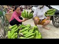 Sua harvests giant bananas - Pao still needs to rest after injury / SUNG A PAO HG