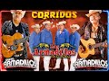 Los Armadillos de la Sierra, Dueto Los Armadillos Mix / Sus Mejores Exitos / Puros Corridos Pesados