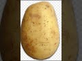 potato #potato #chip #shorts
