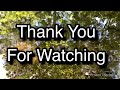 Quiet Time with Nature Ep 23 - Mesmerizing Reflections