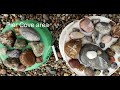 17 Lake Michigan Rockhounding Beaches. Favorites and some not so much