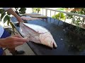 The EASIEST How to Fillet Halibut Video! *Step by Step*