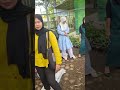 MEMBIMBING MAHASISWA AGRIBISNIS UNIVERSITAS PAT PETULAI PERBANYAKAN TANAM BUNGA MAWAR DAN DAHLIA