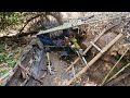 Bushcraft Alone in the Forest - Completed a SURVIVAL Shelter in the Wild And Cook