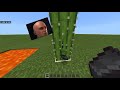 Top 5 Secret in Minecraft